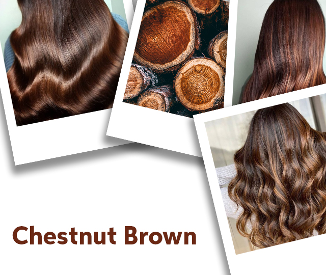 collage of images of models with long, brown hair and photo of chestnuts