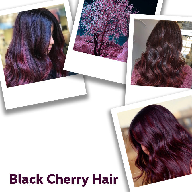 Nahaufnahme Black-Cherry-Haar