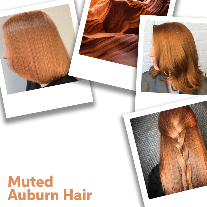 Close up of Muted Auburn
