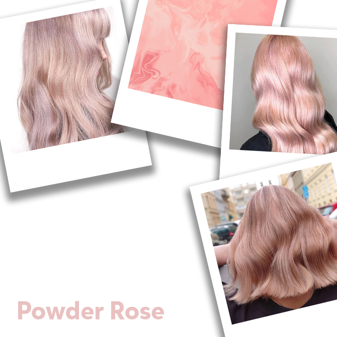 Collage of powder rose hair colour