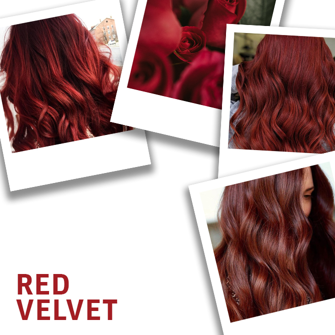 Collage of red velet hair color, created using Wella Professionals
