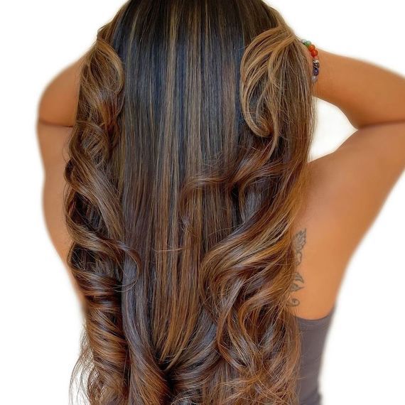Back of model’s head with long, straight, black hair and caramel blonde highlights.
