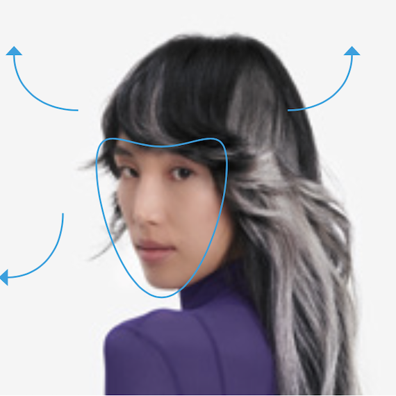 Model with long, black hair and silver gray highlights looks directly into the camera.