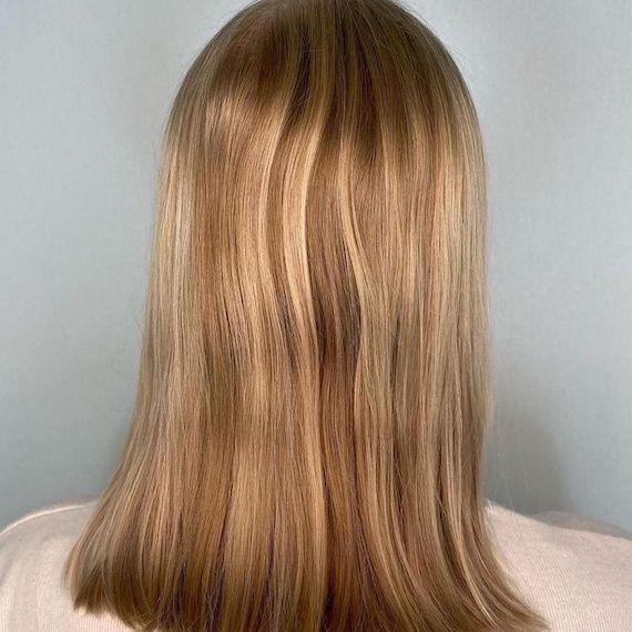 Back of head showing bronde highlights before they’re transformed.