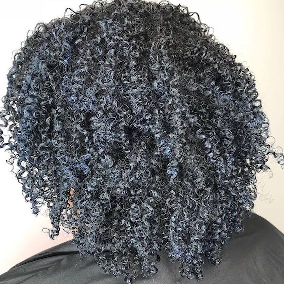 Back of model’s head with curly, navy blue hair.