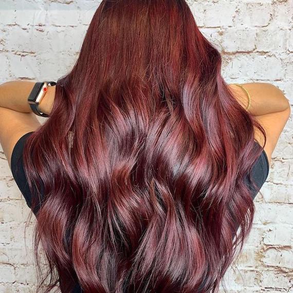 Back of person’s head with long, tousled, super-glossy, mahogany hair.
