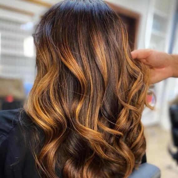 Back of woman’s head with brown hair and copper twilights, created using Wella Professionals.