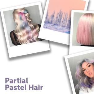 Partial Pastel Hair Color Formulas