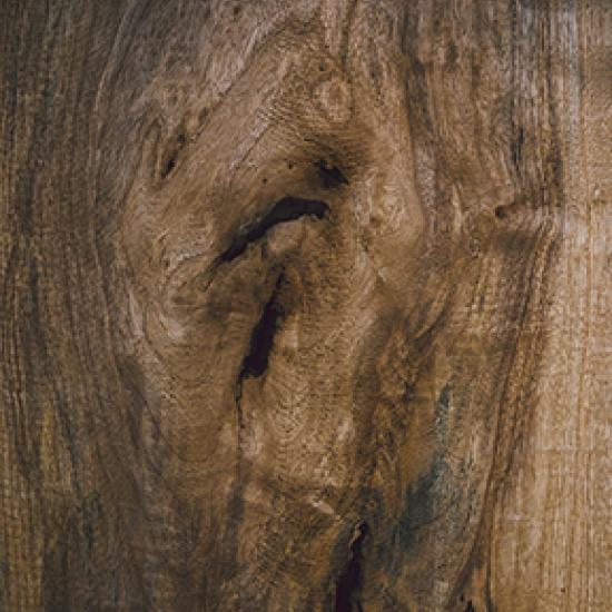 Holz 
