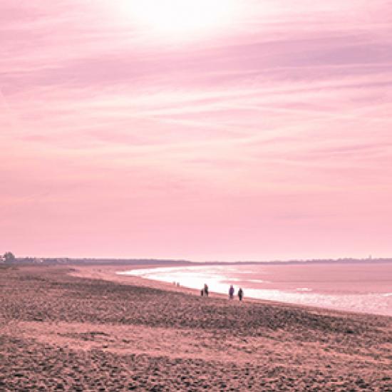 Image of pink sunset